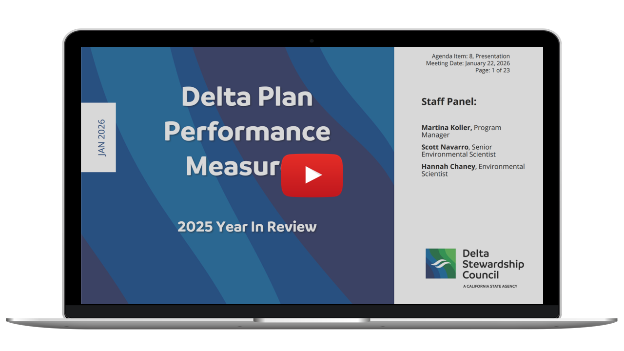 Image of the Council Presentation