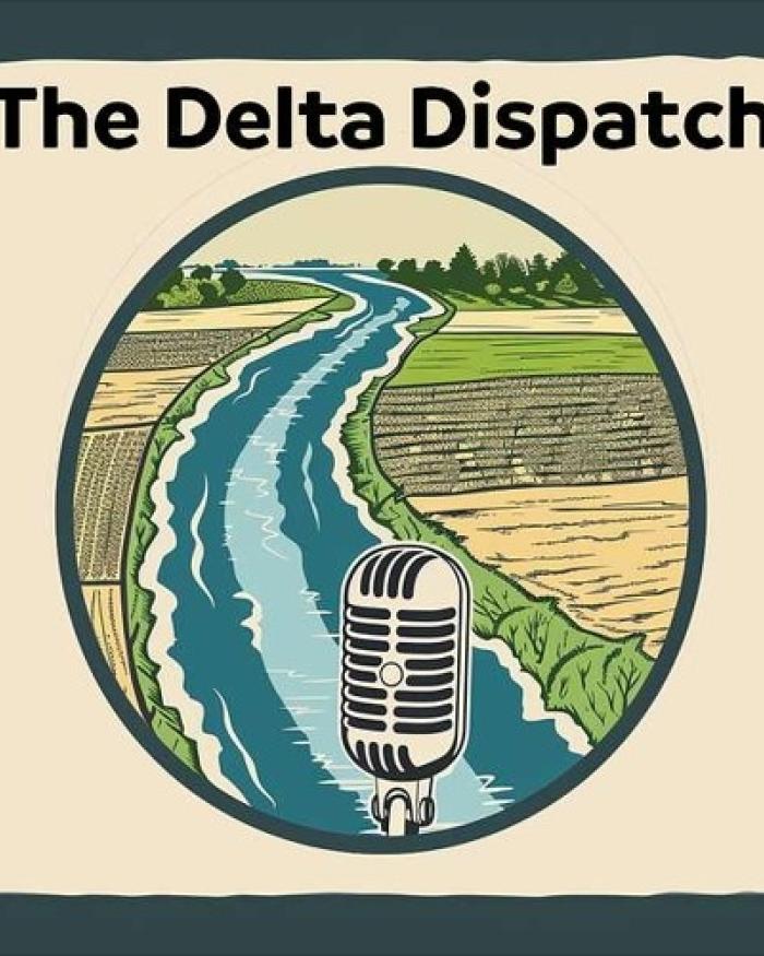 Podcast Image